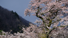 DSCF3180