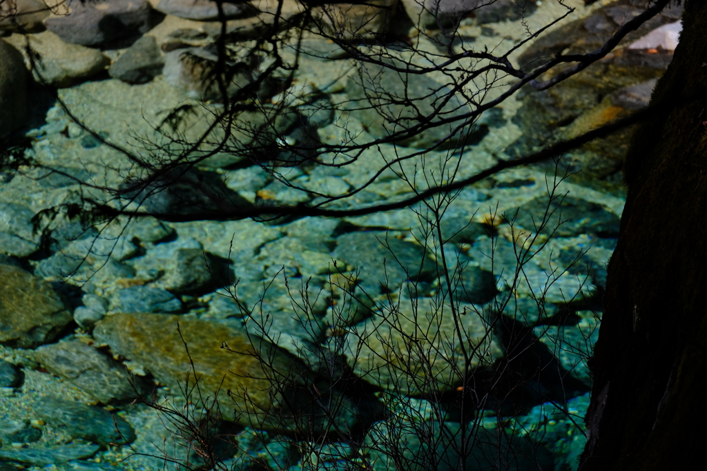 DSCF6087