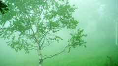 DSCF0101