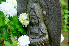 DSCF9997