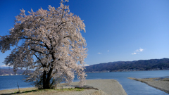 DSCF3146
