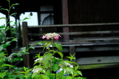 DSCF9993