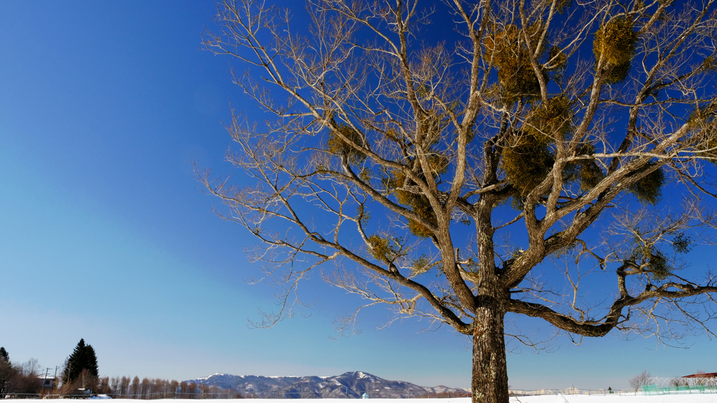 DSCF1889