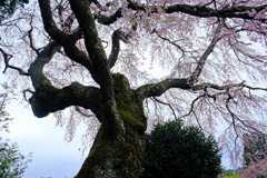 DSCF3014