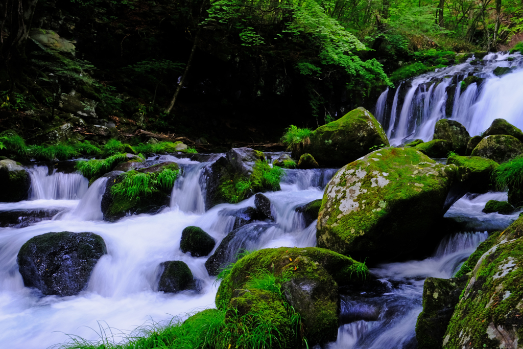 DSCF3225