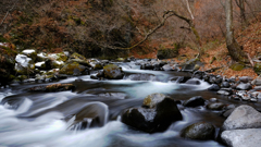DSCF1586