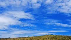 DSCF4423