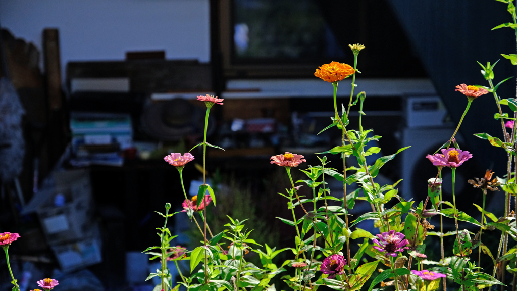 DSCF5812