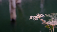 DSCF1236