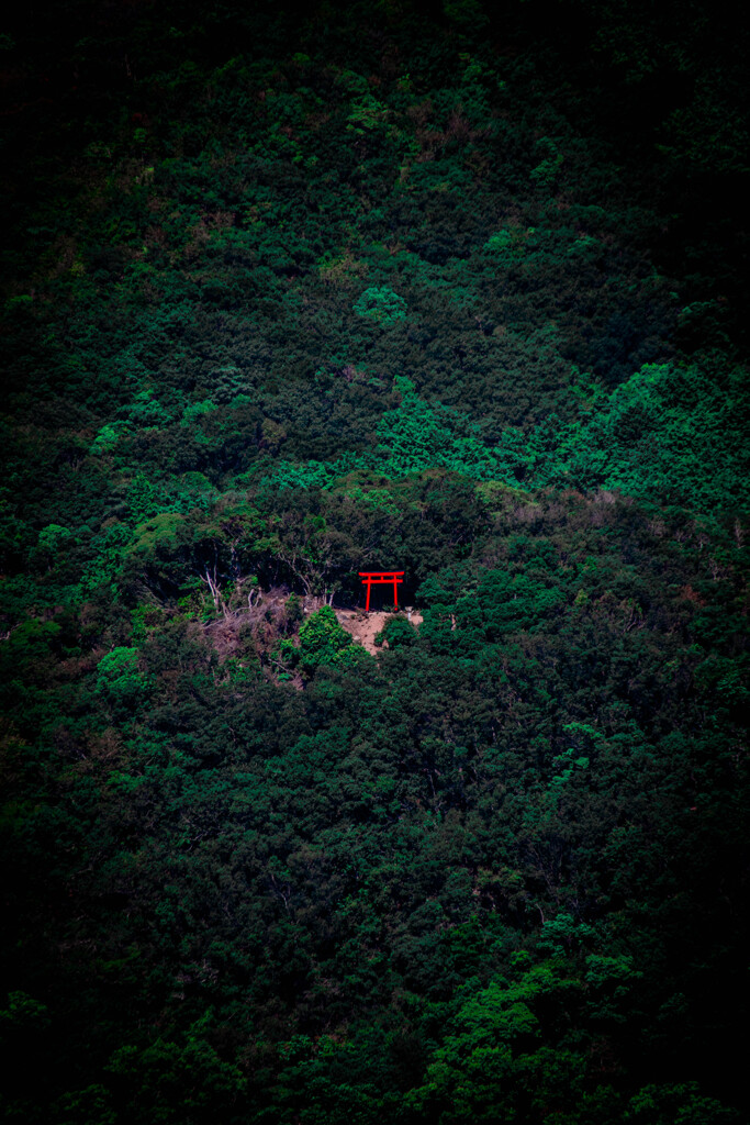 あの鳥居に