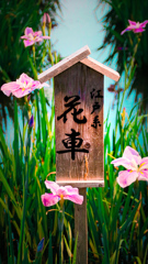 菖蒲園