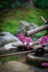 正寿院②