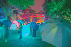 下鴨神社