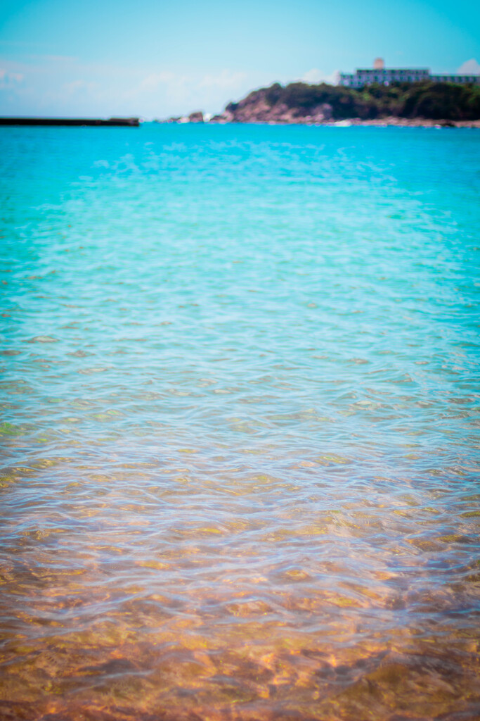 すさみの海