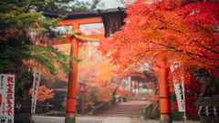 鍬山神社