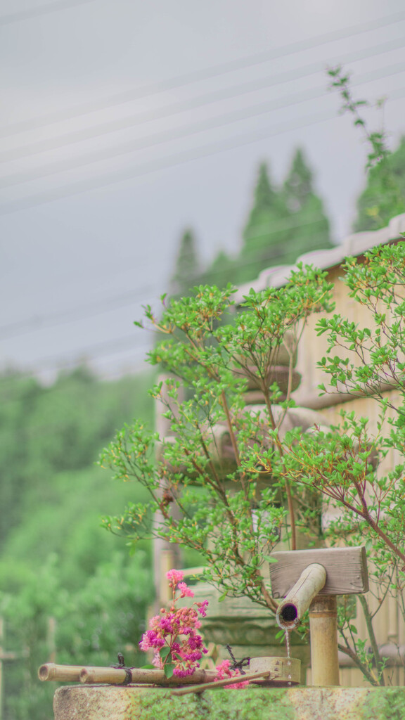 正寿院③