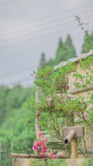 正寿院③