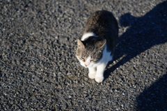 DSC01012