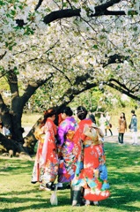 桜の季節