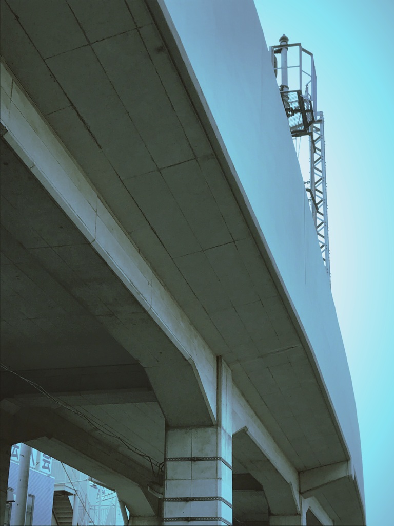 仰ぐ道