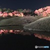 透き通った空気