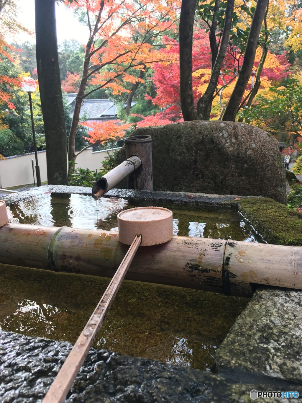 洗心