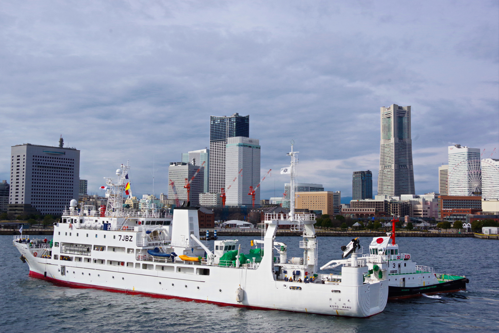 練習船の入港