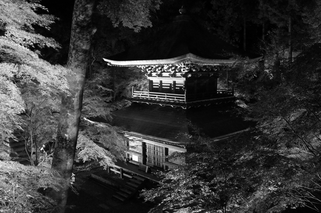 圓通寺ライトアップ（益子町）
