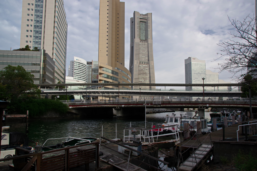 大岡川の風景