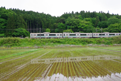 水田と普通列車