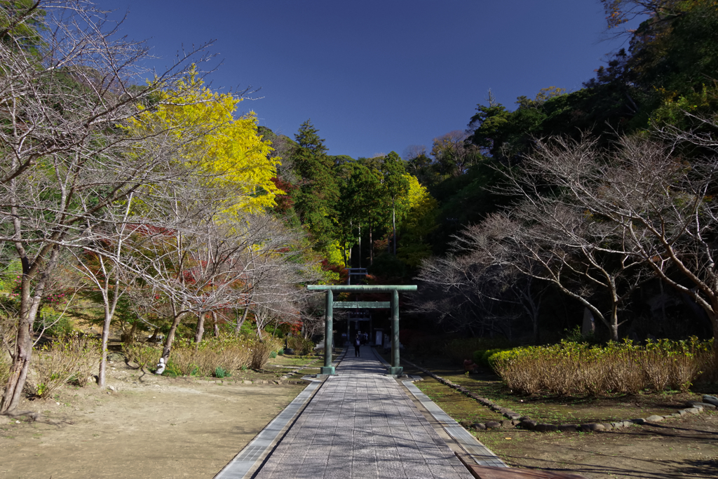 鎌倉散策　晩秋から初冬へ