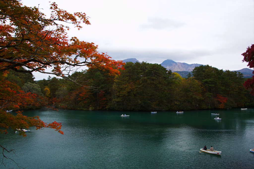 紅葉情報