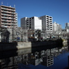 冬の大岡川
