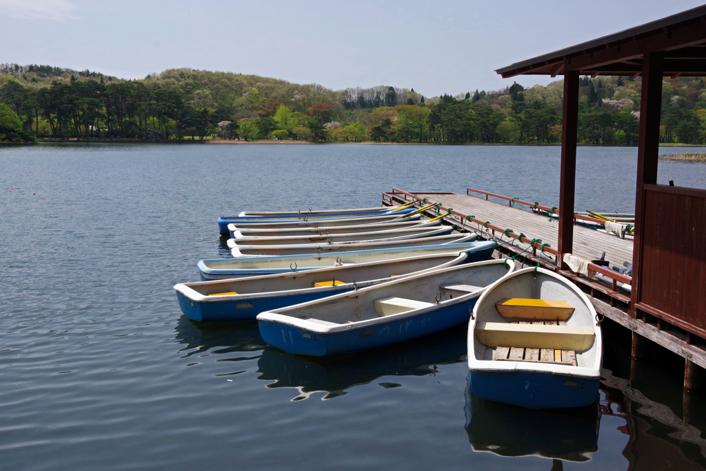 南湖公園