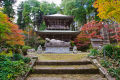 晩秋の圓通寺（益子町）