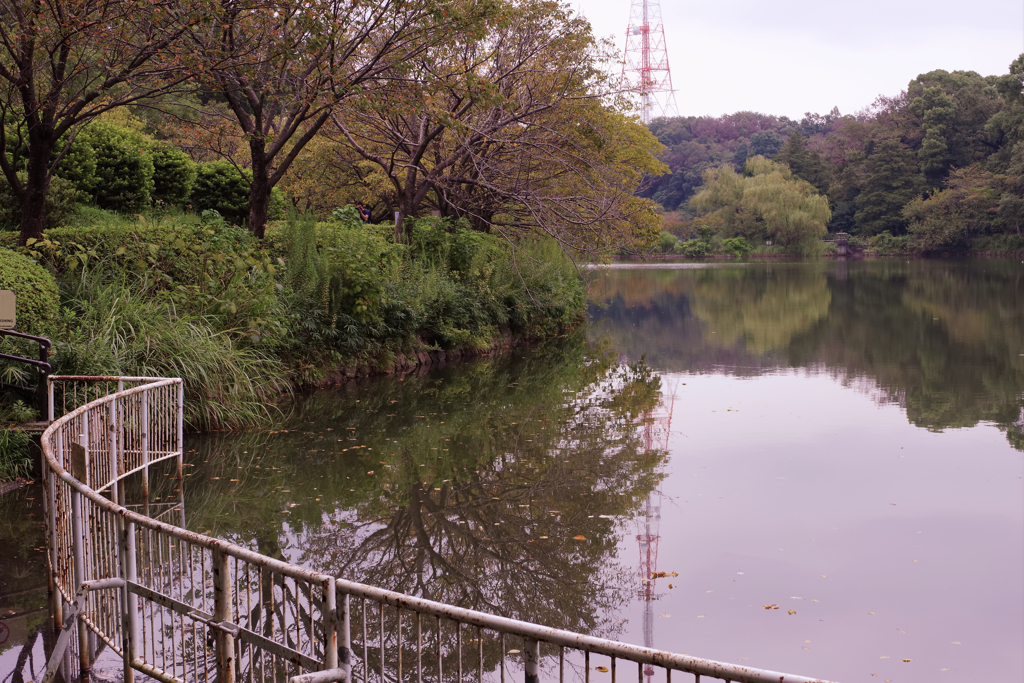 遅い朝の公園散歩