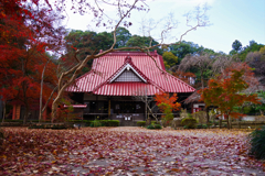 晩秋の圓通寺（益子町）