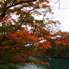 紅葉情報