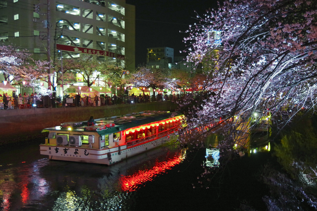 桜まつりの夜