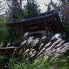 浄智寺 十月
