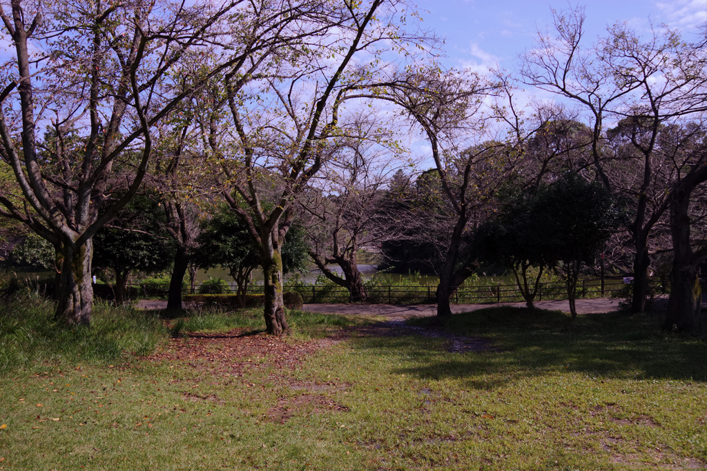 初秋の三ッ池公園