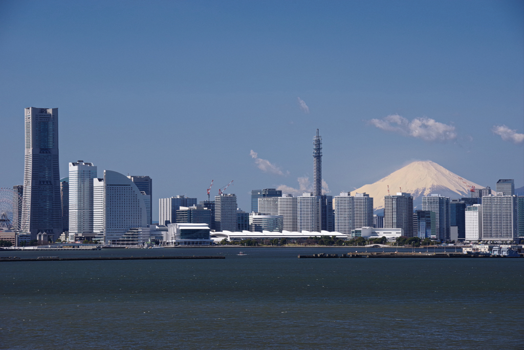 Yokohama Blue