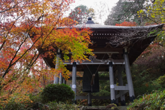 晩秋の圓通寺（益子町）