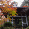 晩秋の圓通寺（益子町）