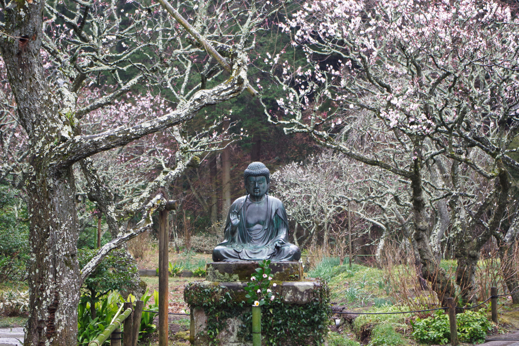 雨の東慶寺