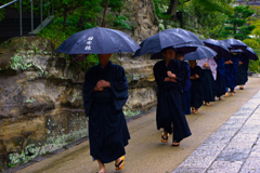 雨の鎌倉　円覚寺の禅僧