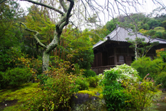 雨の鎌倉　海蔵寺