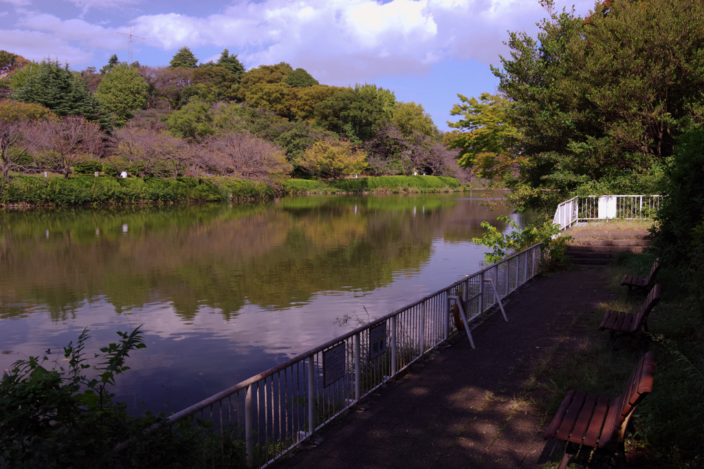 初秋の三ッ池公園