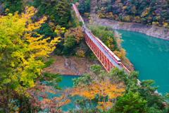 晩秋の大井川鉄道