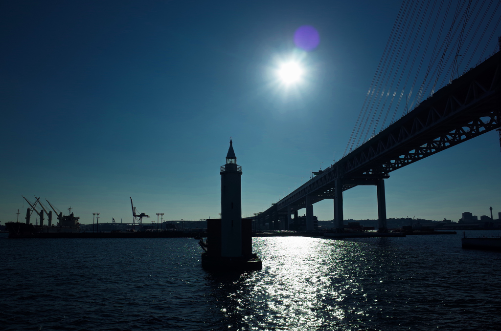 逆光のシルエット